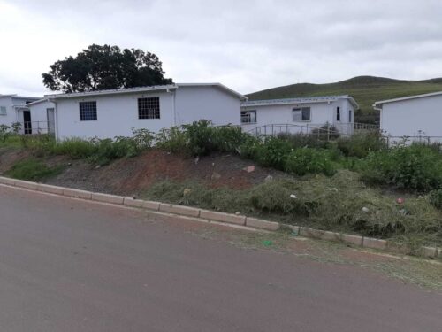 Photo: Tembile Sgqolana