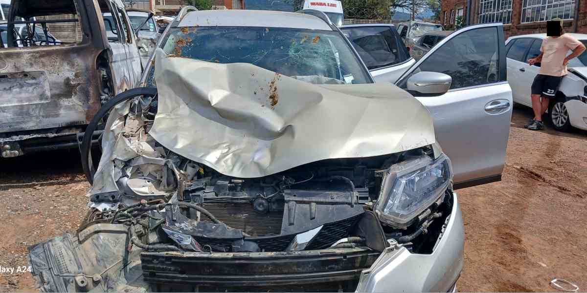 A Cow Nearly Killed Us — One Year Later, Nothing Changed