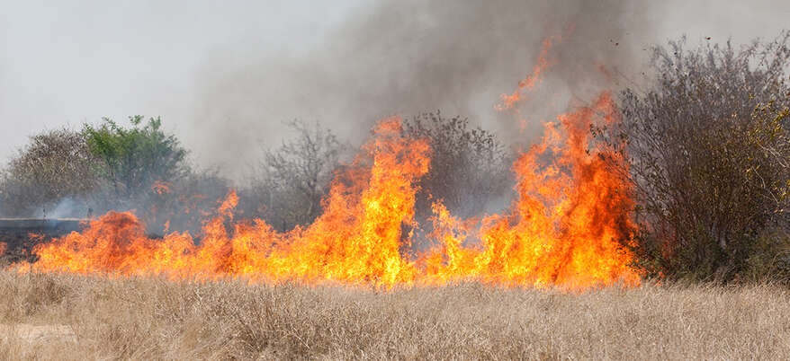 Extreme Veld Fire Danger Warning Issued for Komani and Chris Hani District
