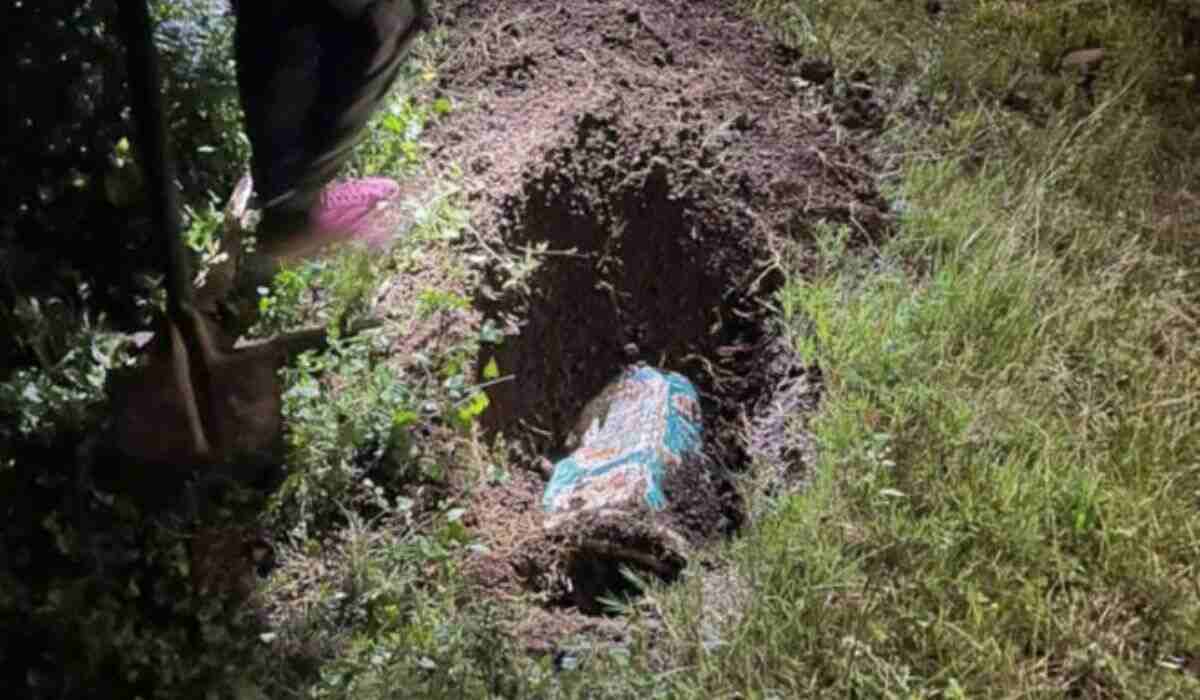 Three-Year-Old Beaten to Death in Sulenkama, Eastern Cape