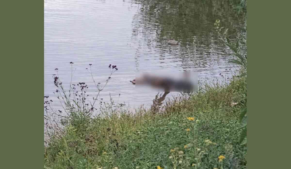 Unidentified Body Discovered Floating in River Near Hewu Rank in Komani