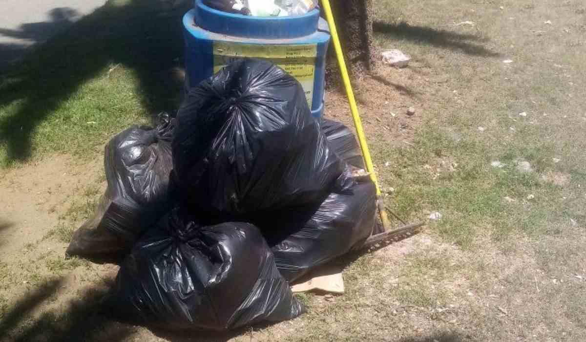 Clean Queenstown Kicks Off 2026 With Ebden Street Rose Garden Clean Up