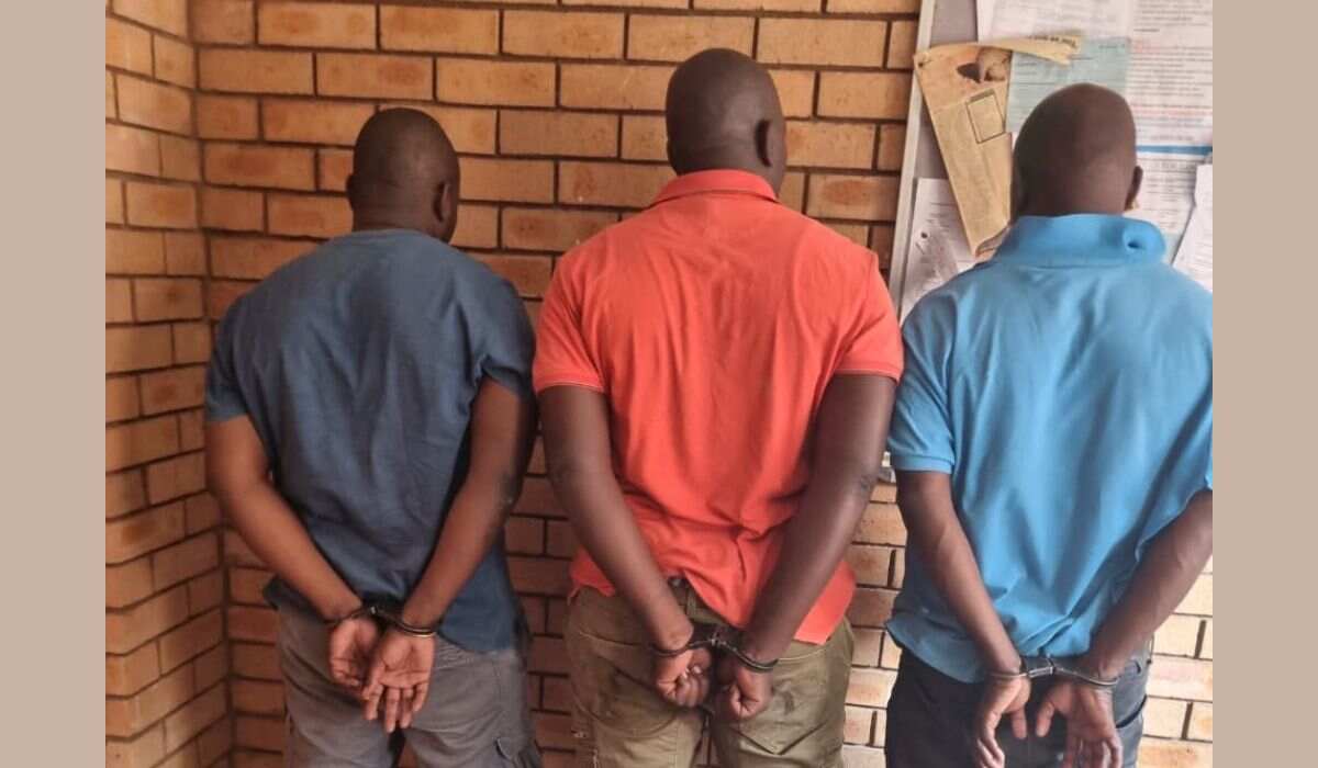 TAXI PATROL TRIES TO ARREST THE POLICE