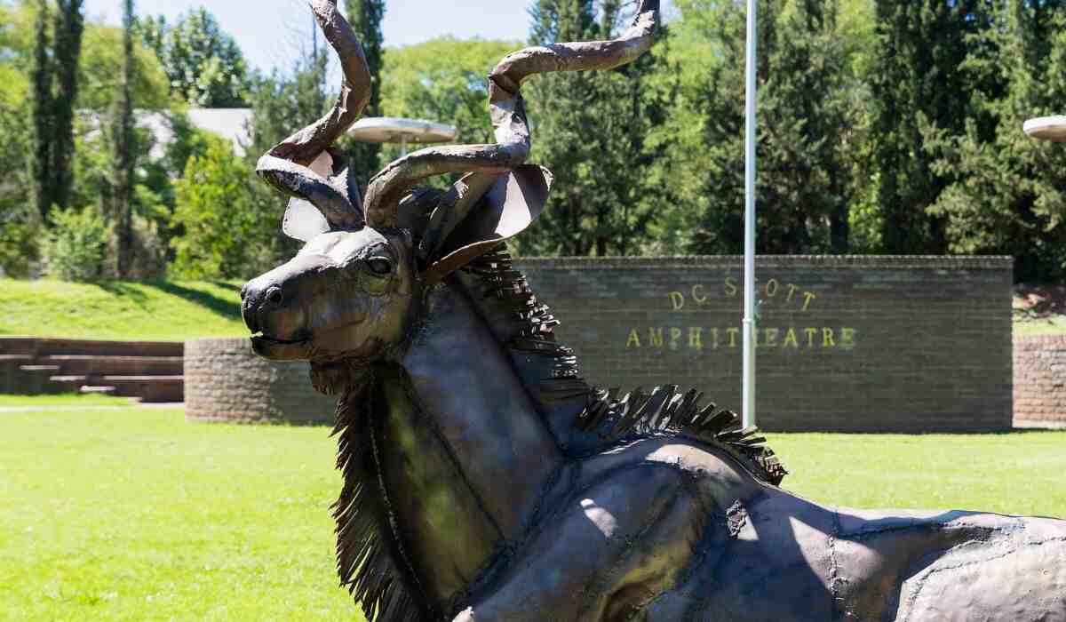 Fixtures Released: Queen’s College 1st Term Sports Programme Set