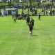 Big Wins and Close Battles at Border Schools’ Rugby Day