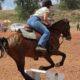 Cradock High Riders Shine at Western Mounted Games in Hofmey