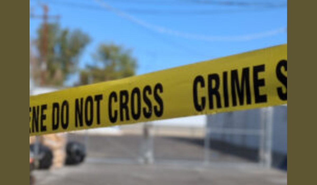 Premature Foetus Found Near Sewage Stream in Komani