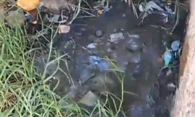 Raw sewage floods Mlungisi homes as complaints go unanswered