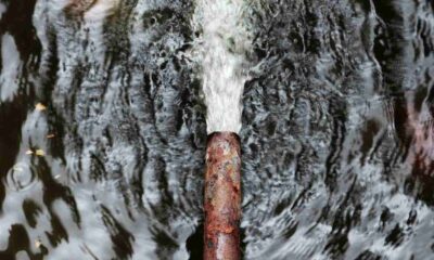 Contractors Forum rejects blame over Tsomo plant vandalism