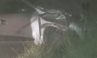 Second kudu crash on N6 near Komani raises fresh safety concerns