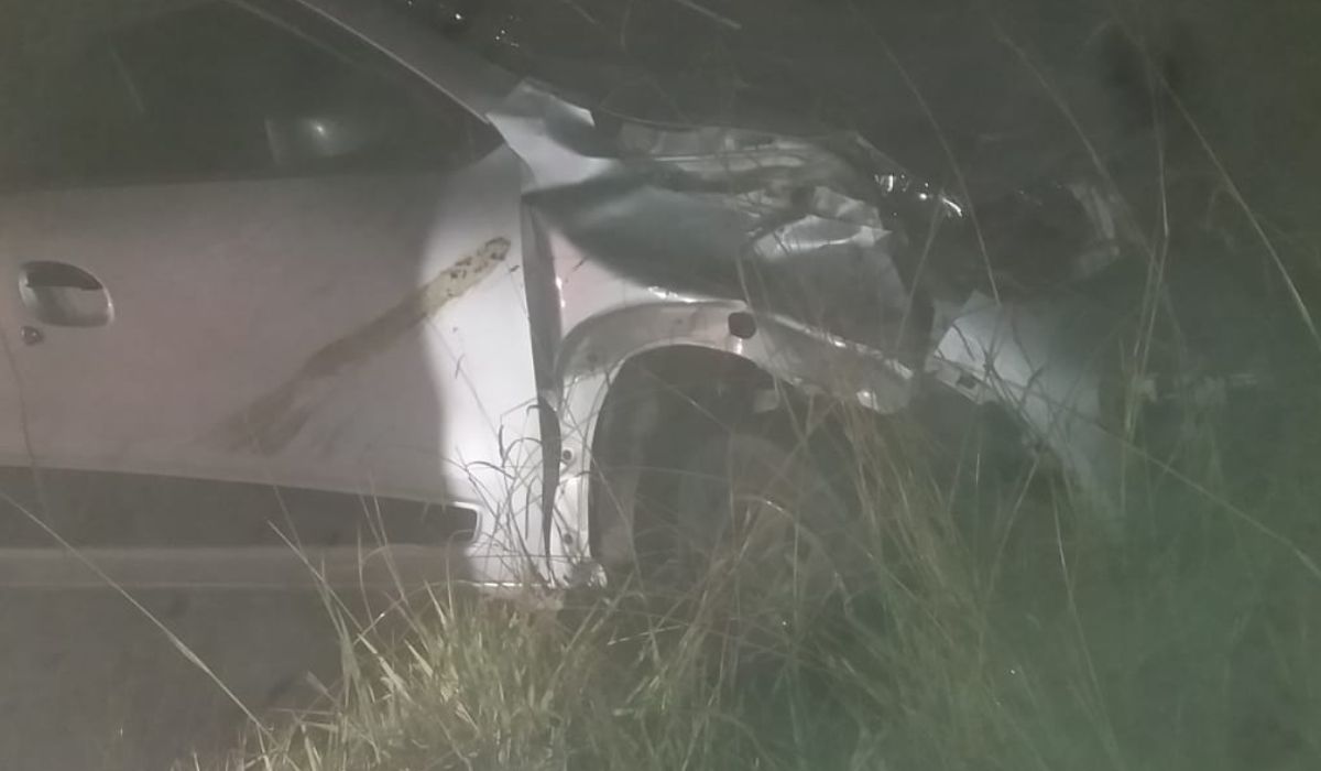 Second kudu crash on N6 near Komani raises fresh safety concerns