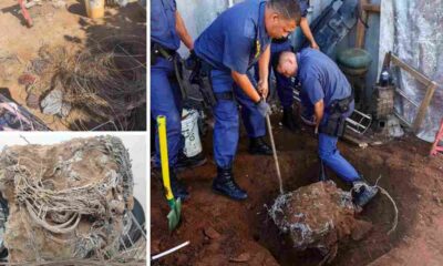 Copper cable theft suspect released on R15,000 bail in Nxuba (Cradock)