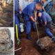 Copper cable theft suspect released on R15,000 bail in Nxuba (Cradock)