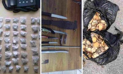 SAPS cracks down in Eastern Cape with major drug busts and arrests