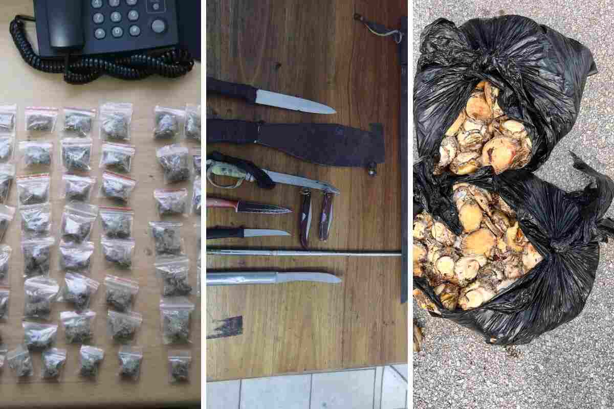 SAPS cracks down in Eastern Cape with major drug busts and arrests