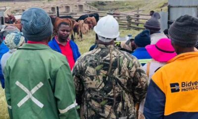 Eastern Cape farmers turn out for urgent FMD vaccination drive