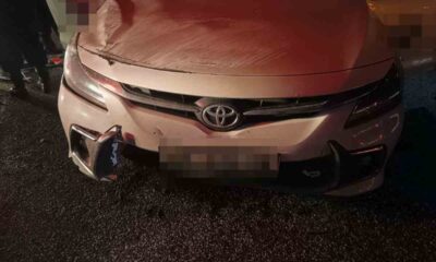 Two cars collide with cow on N6 near Lesseyton