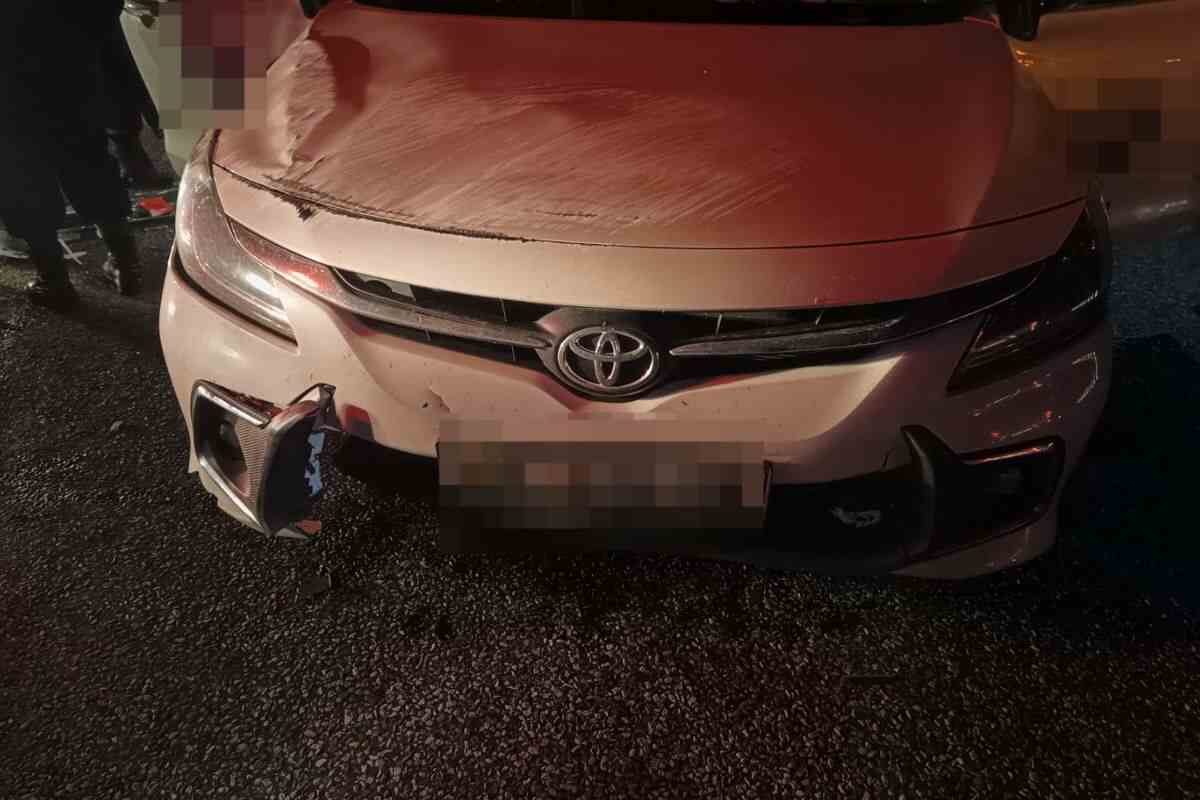 Two cars collide with cow on N6 near Lesseyton