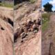 Cofimvaba suburb roads neglected despite four years of pleas